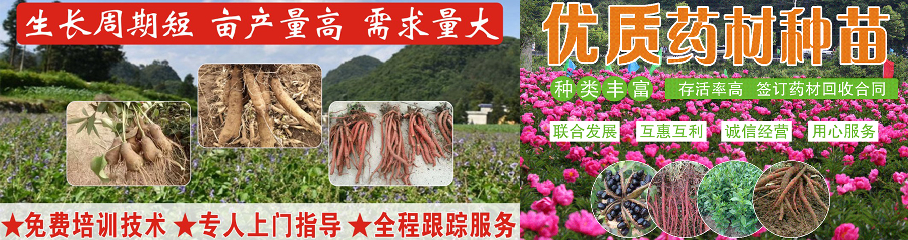 英山縣金禧農(nóng)現(xiàn)代農(nóng)業(yè)有限公司