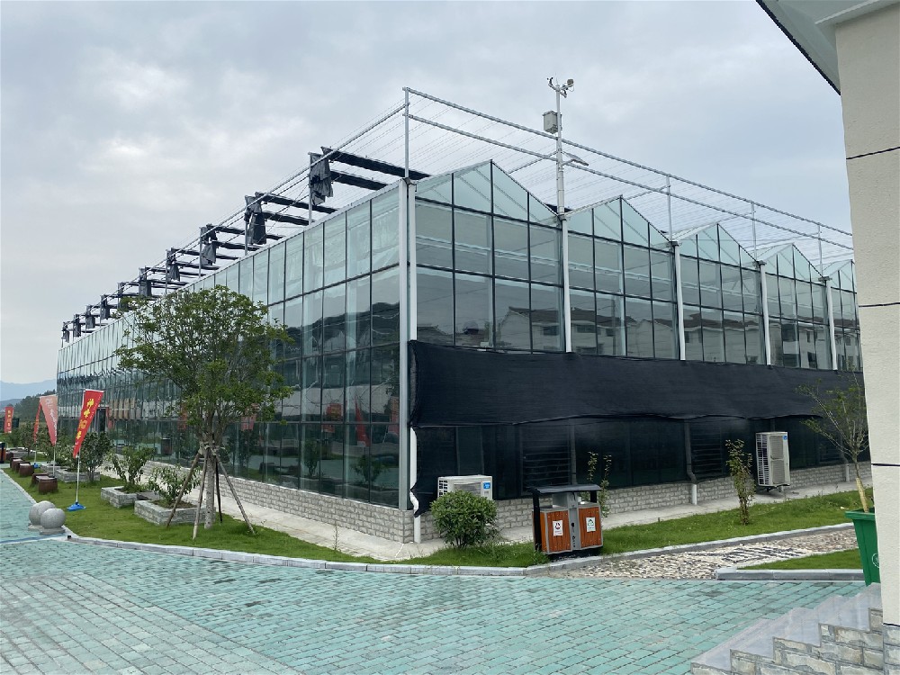 育苗基地